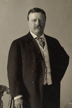 Theodore Roosevelt; The Bull Moose vs. The New Plutocracy